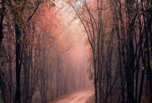 主场战北伦敦死敌热刺 炮兵能否找回射门靴是关键.:狗子28