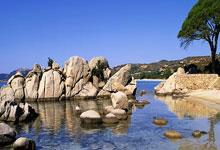 麦克托米奈:转会那不勒斯让我进步,并让我见识到不同的足球.